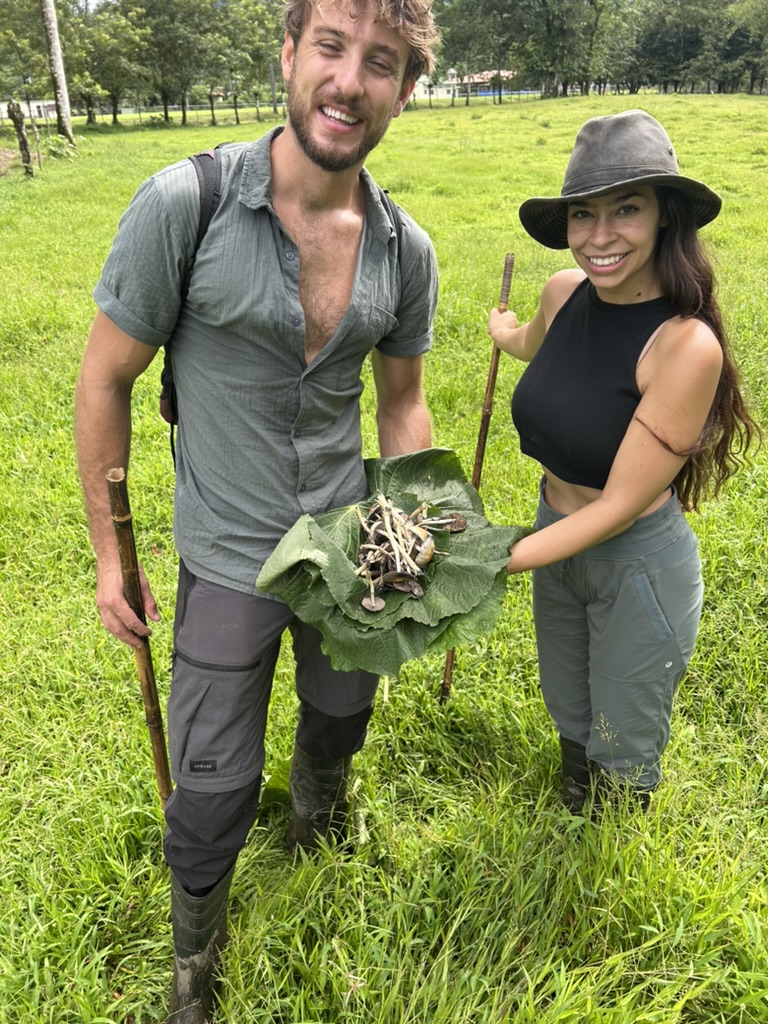 Foraging in Costa Rica